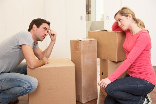 Professional man and van transport support for local moves