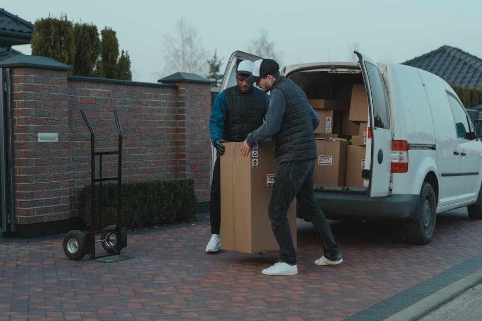 A young man with a beard and wearing a black cap and white polo shirt stands with his arms crossed inside a moving van loaded with numerous cardboard boxes of varying sizes, some taped and wrapped in