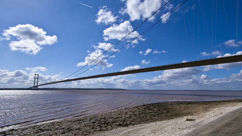 moving companies packing services