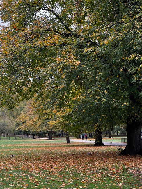 A wide, tree-lined pathway in a park area with lush green grass on both sides and tall trees with dense foliage creating shade overhead. Several people are seated on benches along the path, some appear to be resting or watching activities. In the background, a group of individuals can be seen walking or standing, possibly engaged in leisurely activities or socialising. The scene is illuminated by natural daylight, with dappled sunlight filtering through the leaves. The pathway is clear and clean, suitable for walking or light transport, and the overall environment appears peaceful and well-maintained, typical of a public park in an urban area. This setting could be part of a home relocation process where furniture and boxes are moved through public outdoor spaces, with [COMPANY_NAME] providing removals services, including logistics for furniture transport and packing during residential moves in the Kensington & Chelsea area.