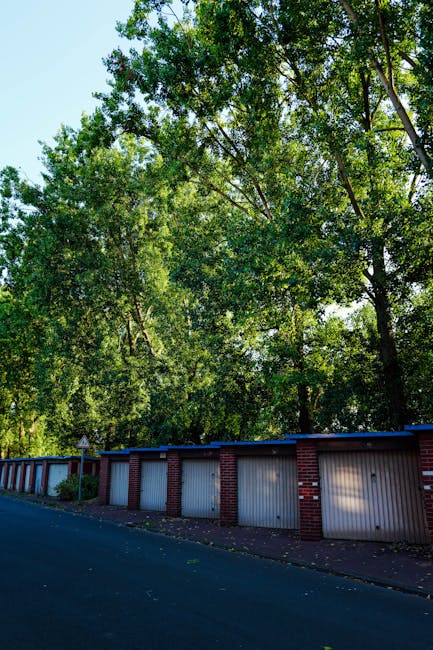 A man with curly hair wearing a blue t-shirt and dark pants is seated on a wooden floor inside a room, surrounded by several cardboard boxes in various sizes, some sealed with red packing tape. The room has large arched windows with black frames, allowing natural daylight to illuminate the space, and a view of neighboring buildings and trees outside. A tall potted plant with broad green leaves is positioned near the windows. The scene appears to depict the packing or unpacking phase of a house removal or home relocation process, which is managed by a professional company such as Man with Van Kensal Green, as indicated by the context of the webpage about loading and remobal services in Kensal Green.